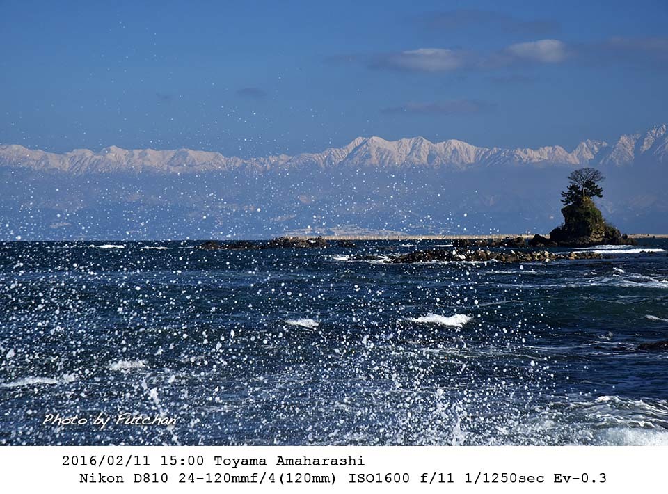 a0158226_19450848.jpg