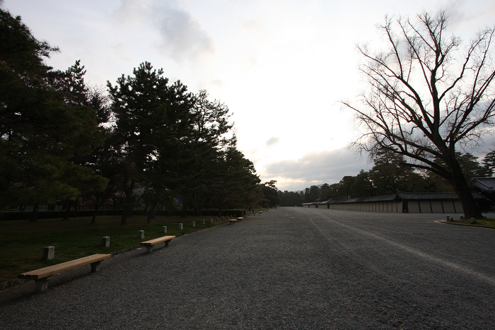 そうだ 京都、行こう。 －2016年桜 京都御所・京都御苑（前編）－ _b0169330_1145420.jpg