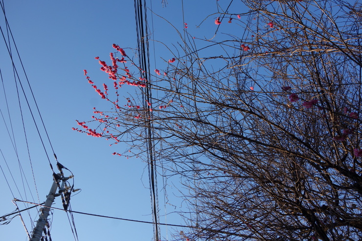 a0287336_20154144.jpg