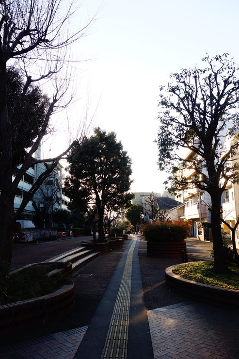 a0287336_2044014.jpg