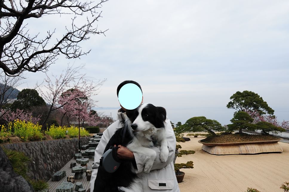 c0147241_1418942.jpg