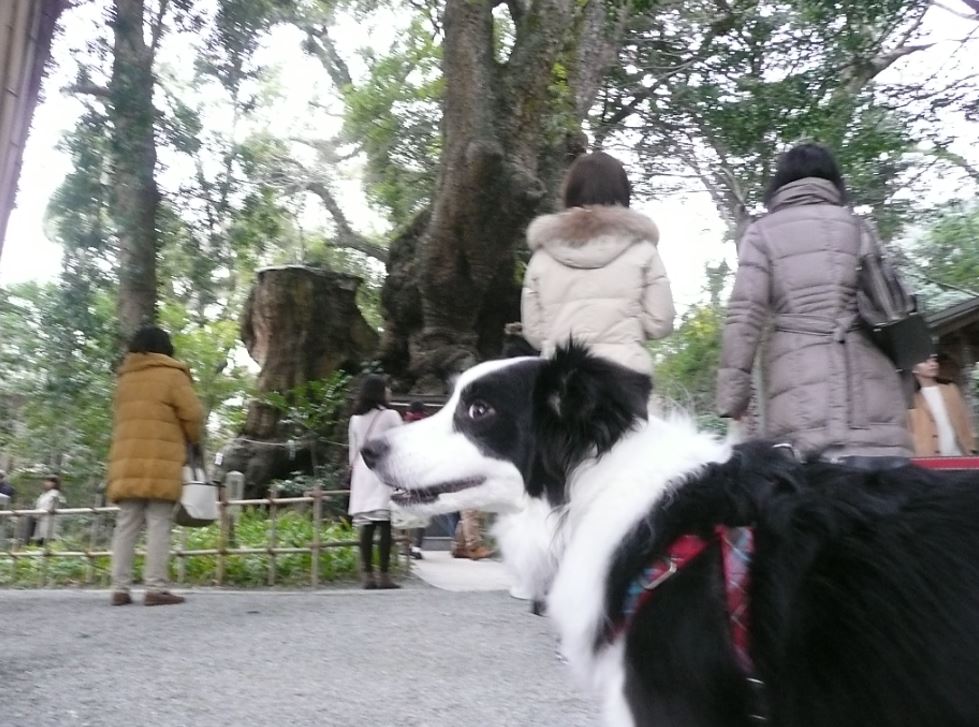c0147241_14193891.jpg