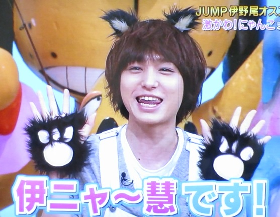 伊ニャー慧 出番少なかったニャー 志村どうぶつ園 有岡大貴くんの指が見たい Hey Say Jump いのありを愛でる日々