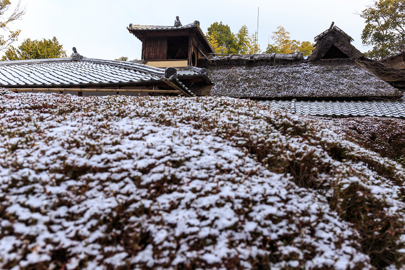 詩仙堂・淡雪_f0155048_2347276.jpg