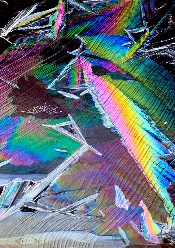 a0057752_13324817.jpg