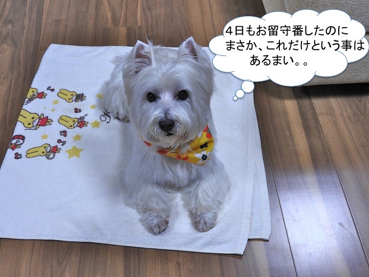 おみやげ編_c0260460_12312004.jpg