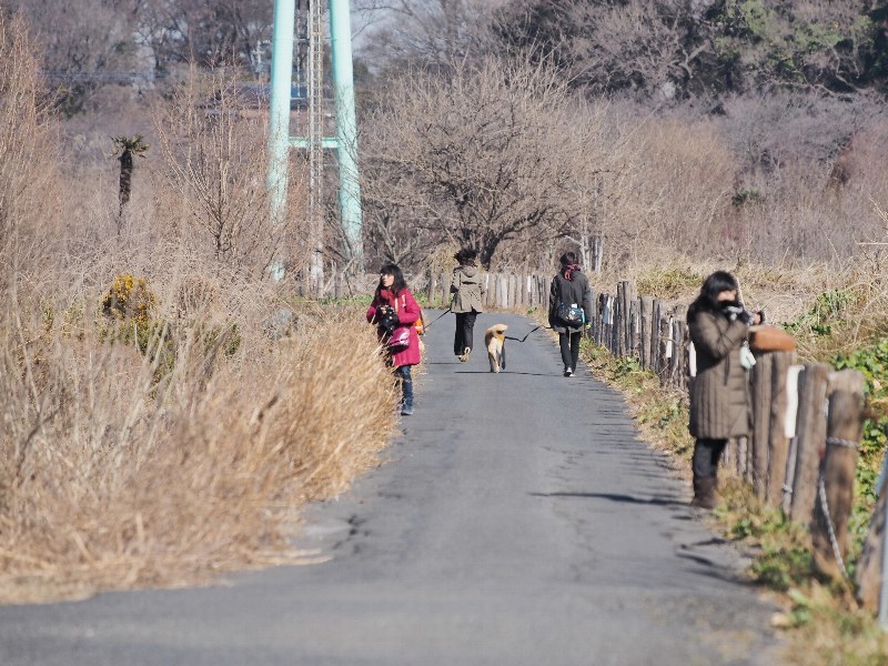 見沼たんぼオフ会　広大な畑編_a0330871_11012252.jpg