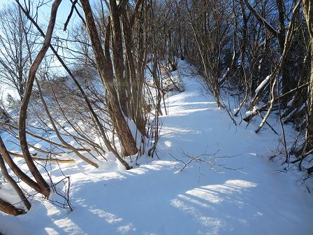 臼本山　　県境尾根より周回_f0302771_17365984.jpg