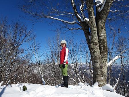 臼本山　　県境尾根より周回_f0302771_17382223.jpg