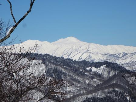 臼本山　　県境尾根より周回_f0302771_17384210.jpg