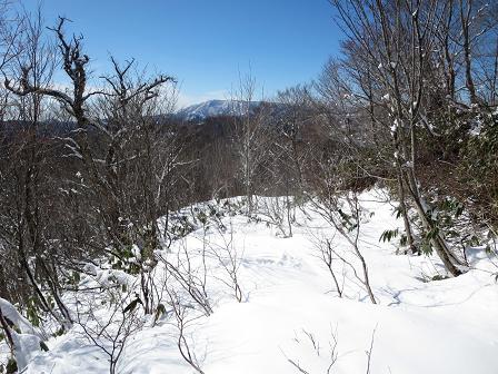 臼本山　　県境尾根より周回_f0302771_17384844.jpg