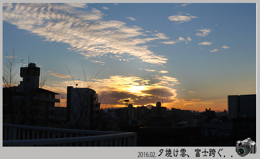 c0009981_1653177.jpg