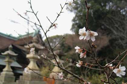 熊野古道紀伊路　聖神社　③_c0229483_1895223.jpg