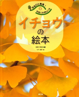 「イチョウの絵本」_f0112284_1554773.jpg