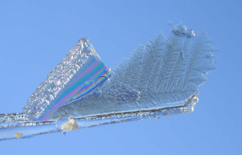 c0177785_9276.jpg