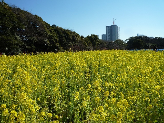 b0287088_08240870.jpg