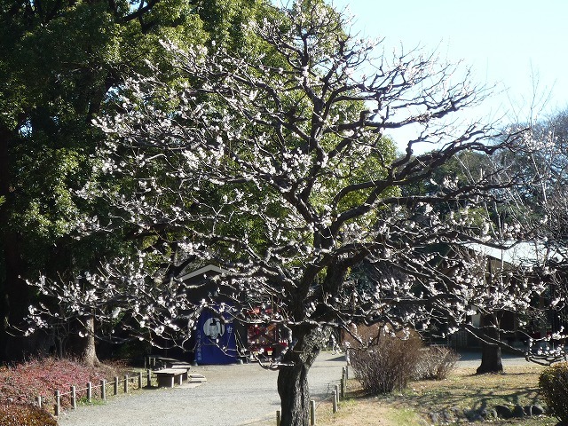 b0287088_08342440.jpg