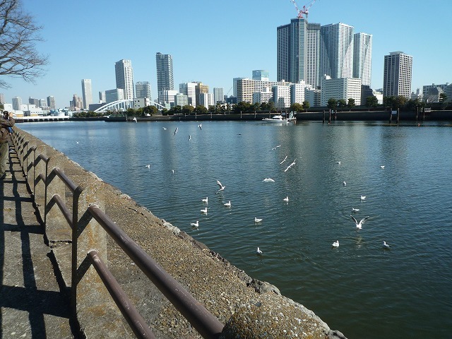 b0287088_08490782.jpg