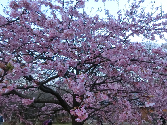 a0319693_9182963.jpg