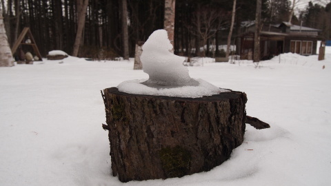 低気圧は夜中だけ、そして朝は除雪_b0343293_21094884.jpg