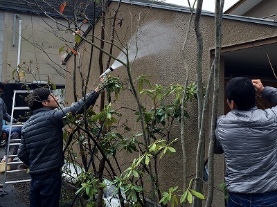a0244794_21452087.jpg