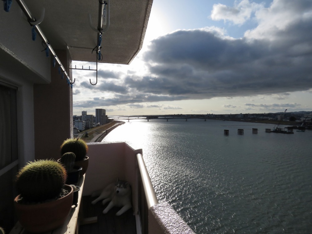 c0049299_2246665.jpg