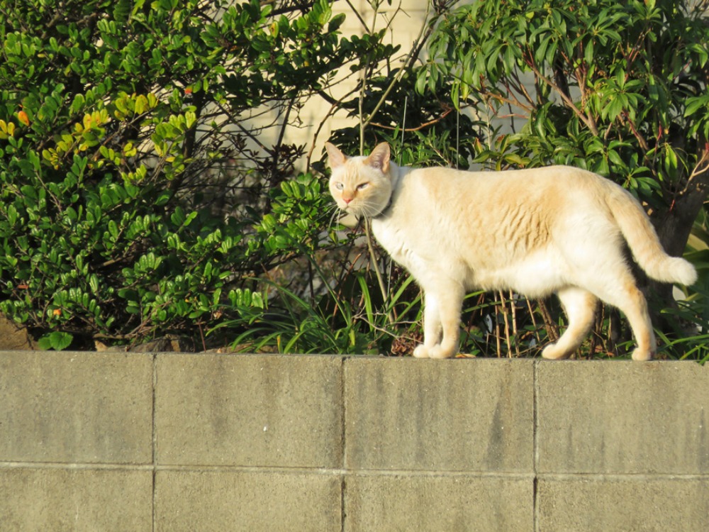 c0049299_2301467.jpg