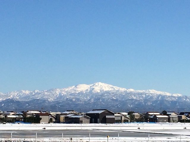 c0201302_18181827.jpg