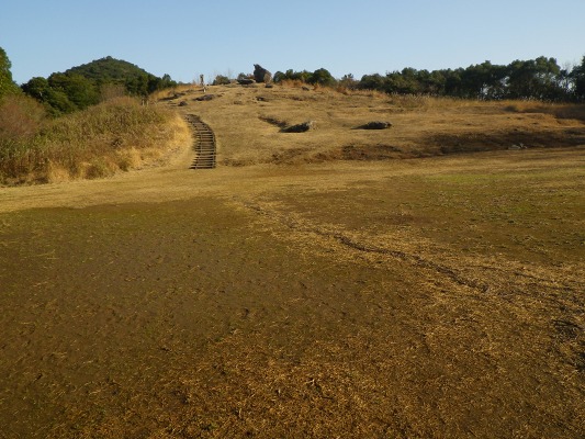 f0187402_22433790.jpg