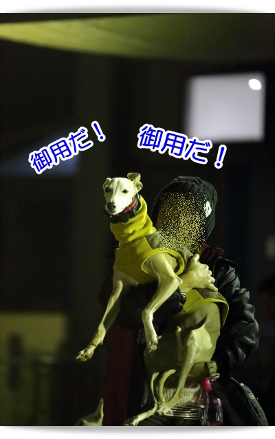 こんな感じです・・・♪(*^ー^*)_e0100007_7435100.jpg
