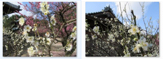 f0231709_21522212.gif