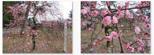 f0231709_2153221.gif