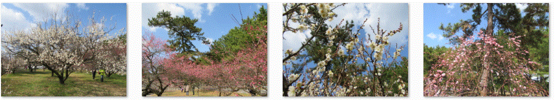f0231709_21535570.gif