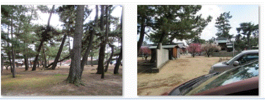 f0231709_2155812.gif