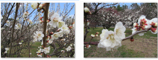 f0231709_2264672.gif