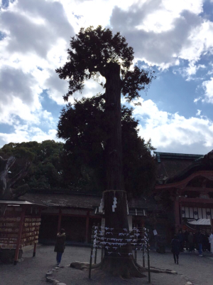 c0343819_19015489.jpg