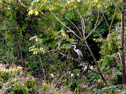f0323927_07271330.jpg