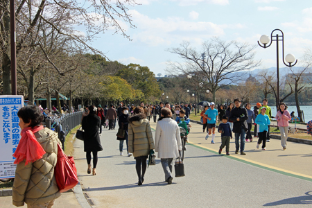 久し振りの陽気に誘われて　2016年２月21日_a0129233_16463120.jpg