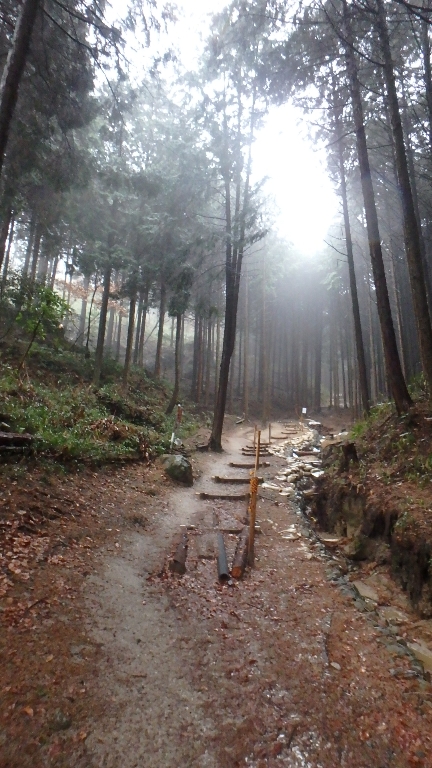だらり~_c0113733_19423096.jpg
