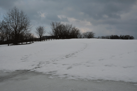 c0093046_11415425.gif