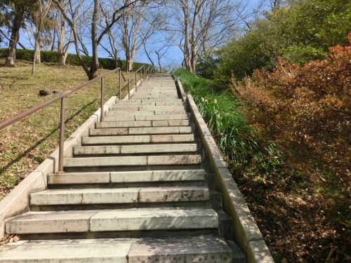 半田山植物公園_c0328559_16413990.jpg