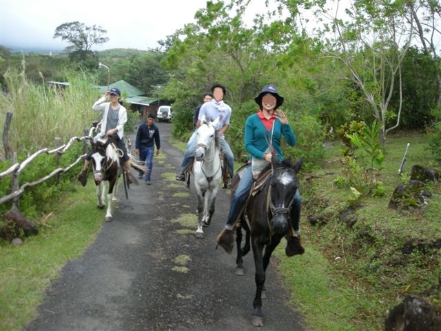 パロベルデ国立公園と、またまた泥温泉_d0115266_14513306.jpg