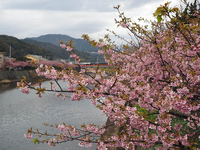 f0199866_20551318.jpg