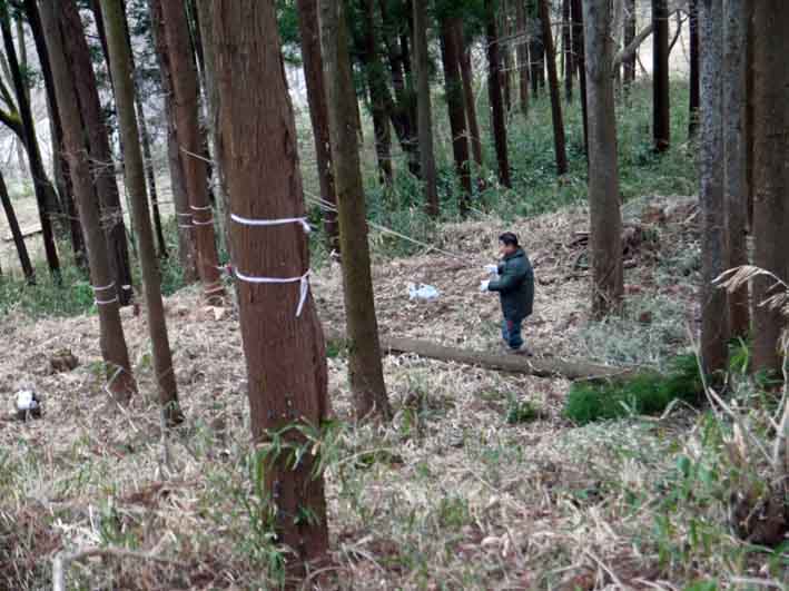 「夫婦桜」の看板作りに着手：2・20六国見山定例手入れ_c0014967_9341974.jpg
