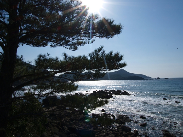海へいこう_a0260570_1081977.jpg