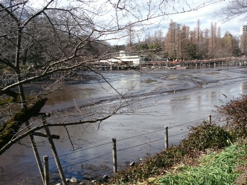 e0212073_12433947.jpg