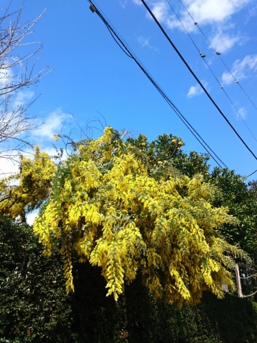 e0212073_12434537.jpg