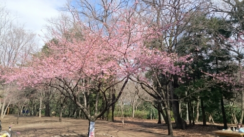 e0212073_12505584.jpg