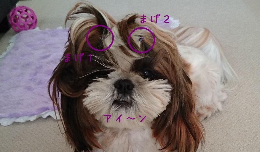 c0363378_14170475.jpg