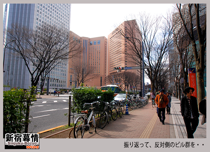 c0009981_8291283.jpg